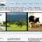 Web Design In County Kerry Ireland